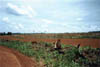 Tierra_mecanizada