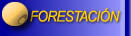FORESTACI�N